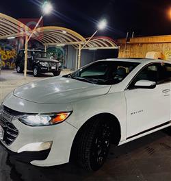 شيفروليه ماليبو